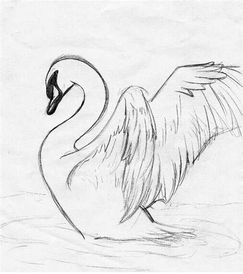 Im Gonna Draw This Swan Tattoo Tattoos Swan Drawing