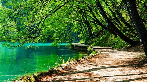 32 Nature Emerald Wallpaper Basty Wallpaper