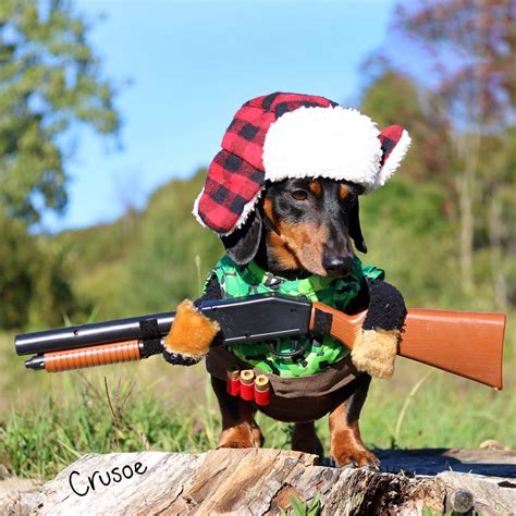 Doggos and puppies with guns. Hunting Dog Costume w Gun, Rain Umbrella Dog Costume, Hockey Dog Costume, etc