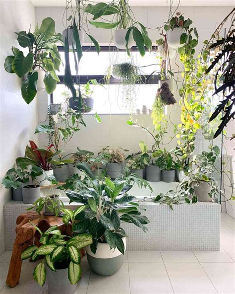 16 Indoor Garden Ideas Anyone Can Do