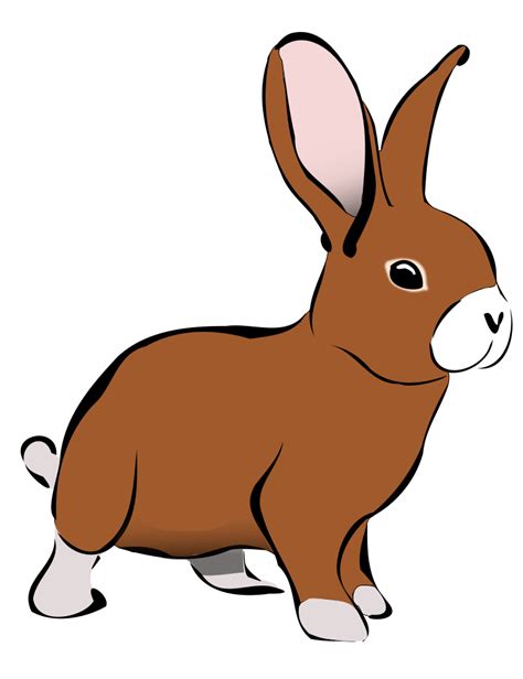 Free Sleepy Rabbit Cliparts Download Free Sleepy Rabbit Cliparts Png