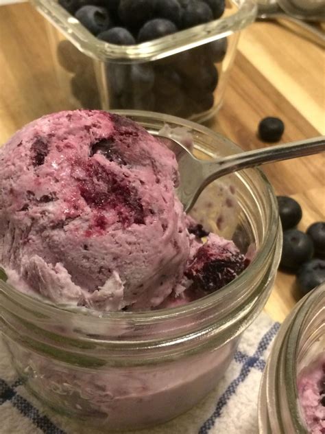 Homemade Blueberry Ice Cream No Churn No Egg Option Garden To Griddle
