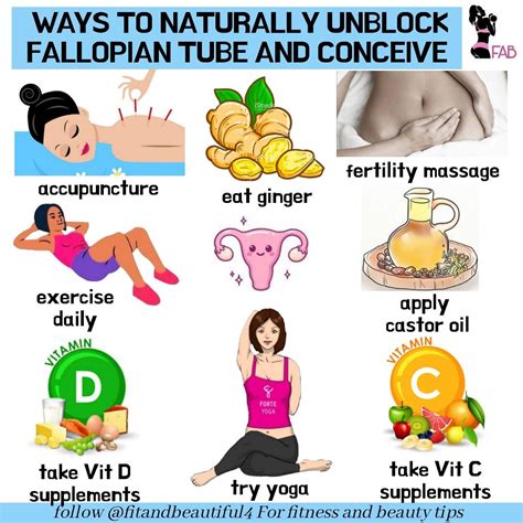 Natural Ways To Unblock Fallopian Tube And Conceive Fallopian