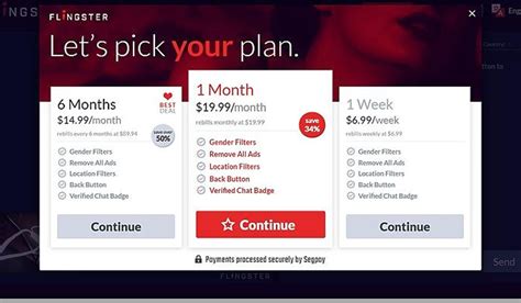 flingster review november 2023 [features pros and cons pricing]