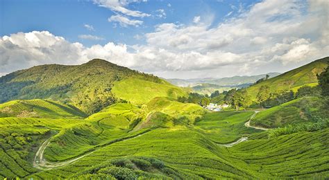 Stunning Peaks 5 Best Mountains To Climb In Malaysia