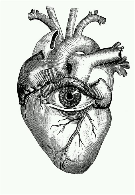 Techie.brandon created a custom illustration or graphics on 99designs. Pin by Faith Hague on A coeur | Anatomy art, Anatomical ...