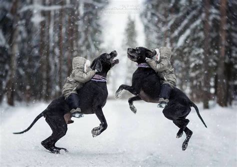 36 Truly Magical Photos Of Little Kids And Their Big Dogs