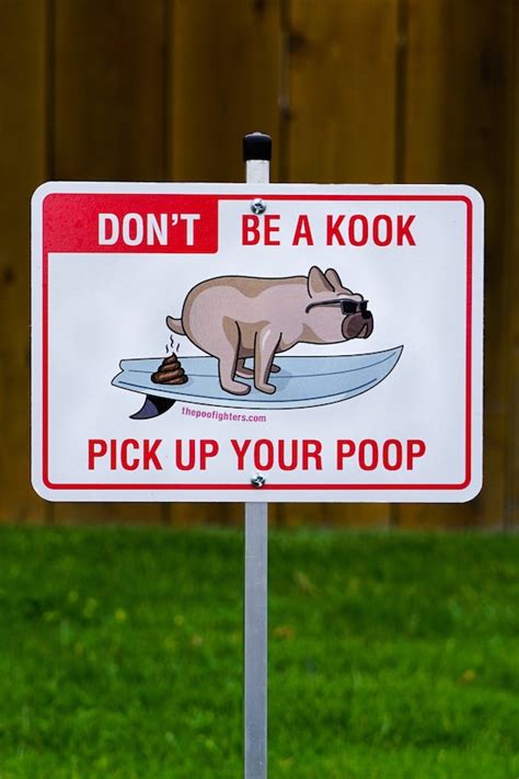 Dog Poop Sign Dont Be A Kook Pick Up Your Poop Etsy