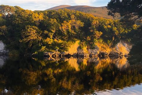 Top 10 Things To Do In Killarney National Park Ireland