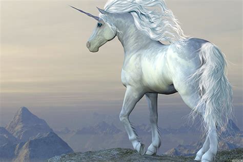 10 Biggest Unicorn Companies In The World Thestreet