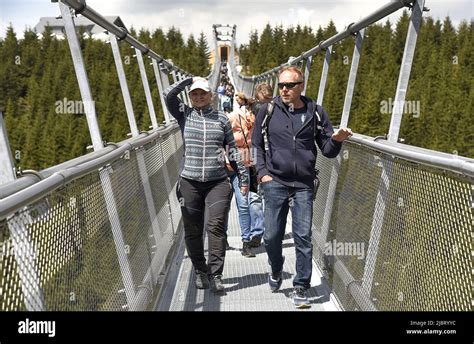 The Worlds Longest Suspension Footbridge Sky Bridge 721 In Mountain