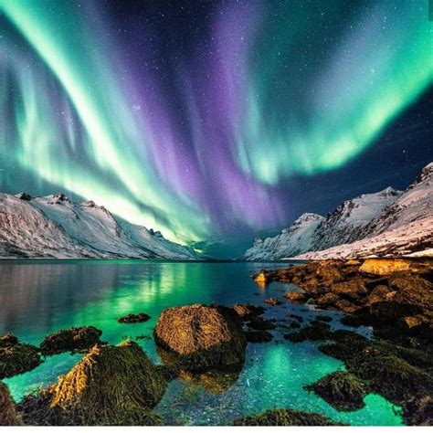 Lapônia Com Aurora Boreal 2021 Mg3 Northern Lights Norway Northern