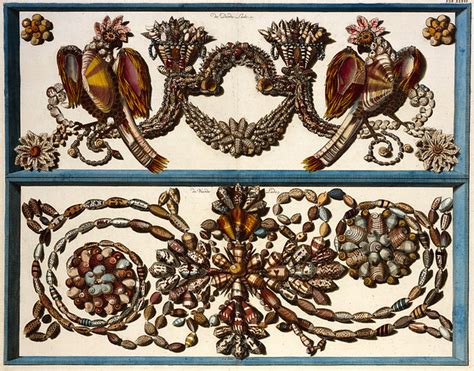 Albertus seba cabinet of curiosities. Albertus Seba Cabinet of Curiosities - kb.nl ...