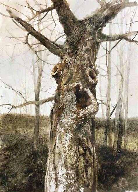 Andrew Wyeth Plein Air Watercolor Watercolor Trees Watercolor