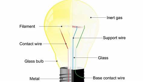 Parts of a modern incandescent light bulb Vector Image