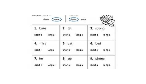 Pin by Stacey Hicks on Second Grade | Short vowel worksheets, Vowel