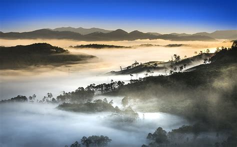Hd Wallpaper Vietnam Landscape Forest Dense Fog Green Forest Asia