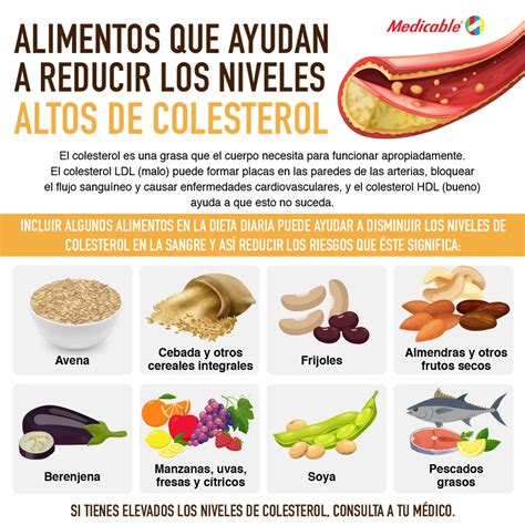 Alimentos Que Ayudan A Reducir Los Niveles Altos Del Colesterol Medicable