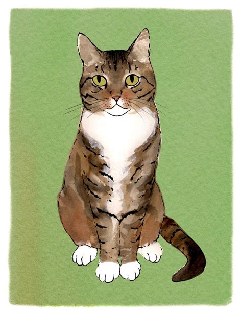 Tabby Print Tabby Cat Illustration Tabby Drawing Digital Etsy
