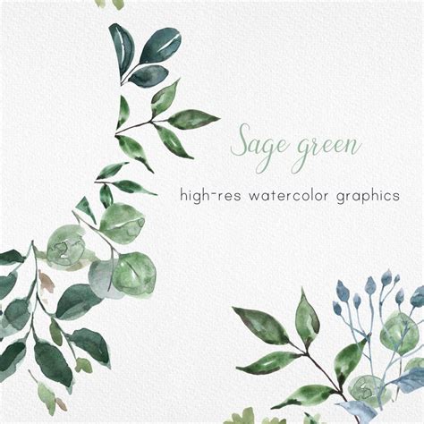 Watercolor Greenery Frame Clipart Green Leaves Wreath Frames Etsy In