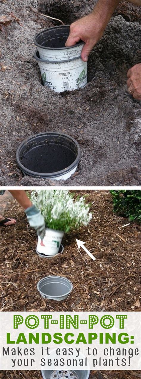 35 Creative Garden Hacks And Tips That Every Gardener