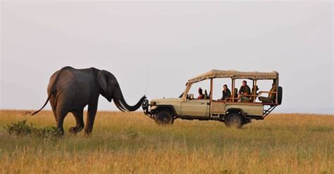 12 Days Luxury Kenya Safari And Beach Package