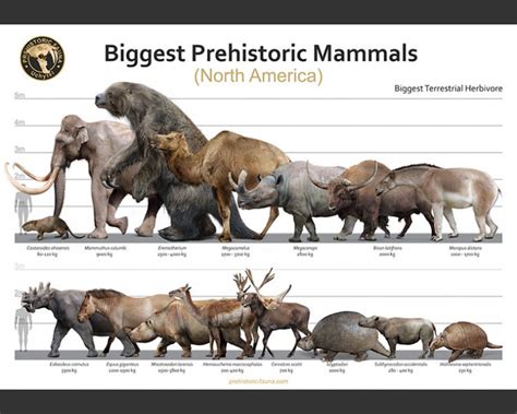 Biggest Prehistoric Mammals Of Na Herbivore Poster