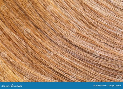 Texture Of Light Colored Female Baby Hair Stock Image Image Of Woman