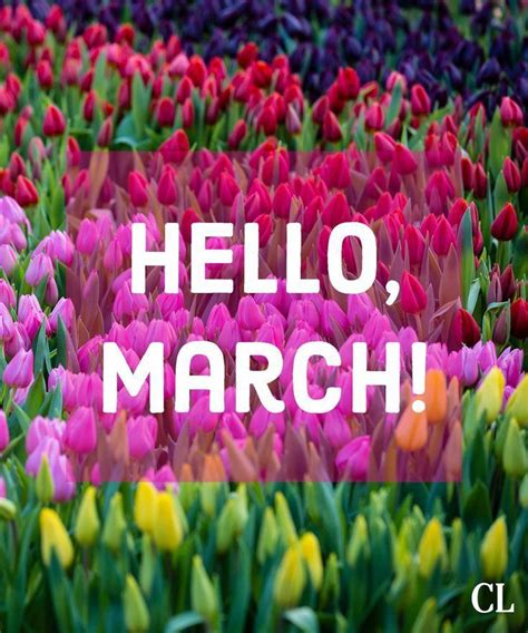 Colorful In 2023 Hello March March Month Hello March Images