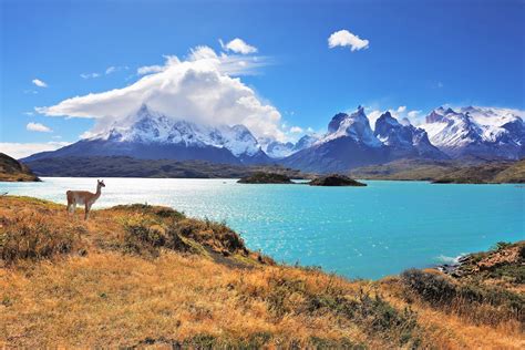 Wonders Of Patagonia Tour Flexible Bookings Trafalgar