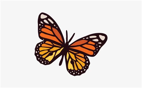 Butterfly Svg Cut Files Free