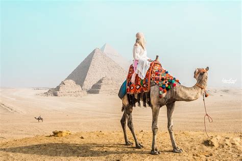 Tripadvisor Viagem Privada De Um Dia Ao Cairo De Avião De Hurghada Experiência Oferecida Por