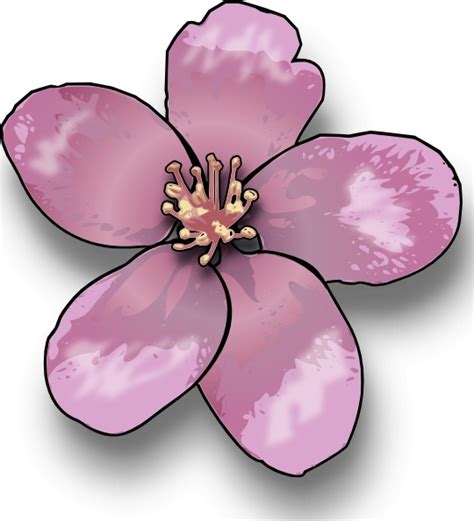 Apple Blossom Clip Art Free Vector In Open Office Drawing Svg Svg