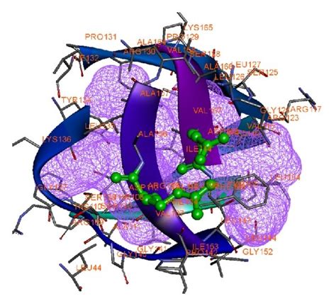 Active Site Of Target Protein With Mutant Structure Shown In