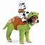 Complete Your Group Look With These Halloween Dog Costumes