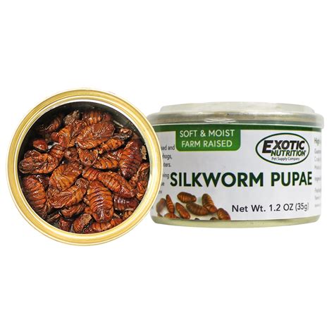 Exotic Nutrition Canned Silkworm Pupae 12 Oz