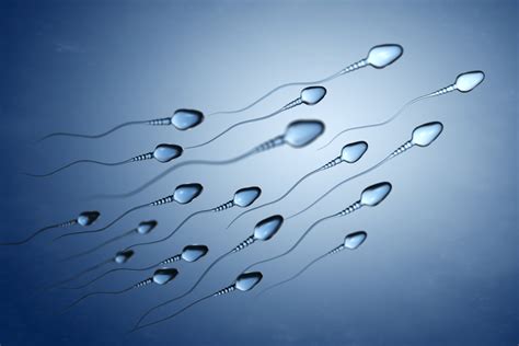 Follow Up Study Shows Significant Decline In Global Sperm Counts