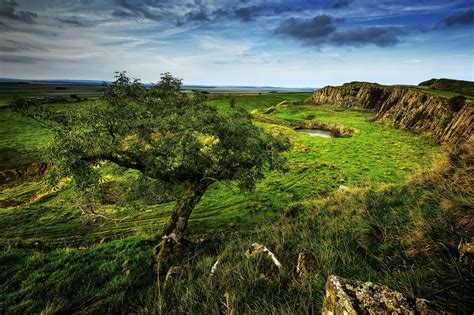 2048x1365 Landscape Grass Tree Nature Wallpaper Coolwallpapersme