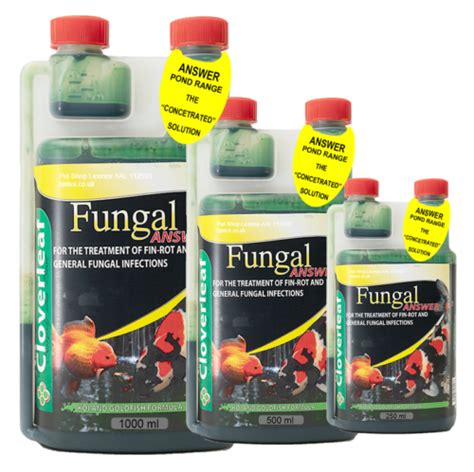 Cloverleaf Fungal Answer Koi Fish Pond Treatment For Bacterial Fin Rot Fungus Ebay