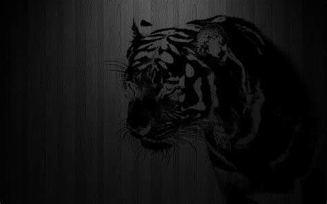35 Gambar Black Background Hd Tiger Wallpaper Terbaru 2020 Miuiku