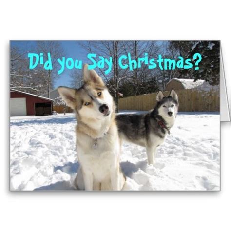 Siberian Husky Christmas Card Dog Christmas Card