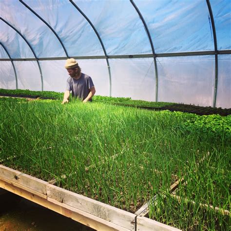 Teng ps (1987) crop loss assessment and pest management. Pest Management on the Small Farm | High Mowing Organic ...