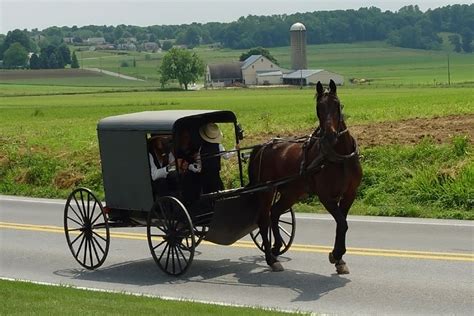 30 Interesting Facts About The Amish You Probably Didnt Know
