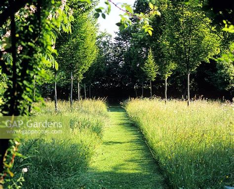 Path Through Meadow Stock Photo By Leigh Clapp Image 0095451