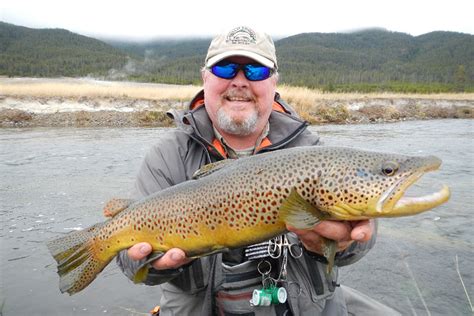 Fly Fishing Yellowstone National Park Wild Trout Outfitters