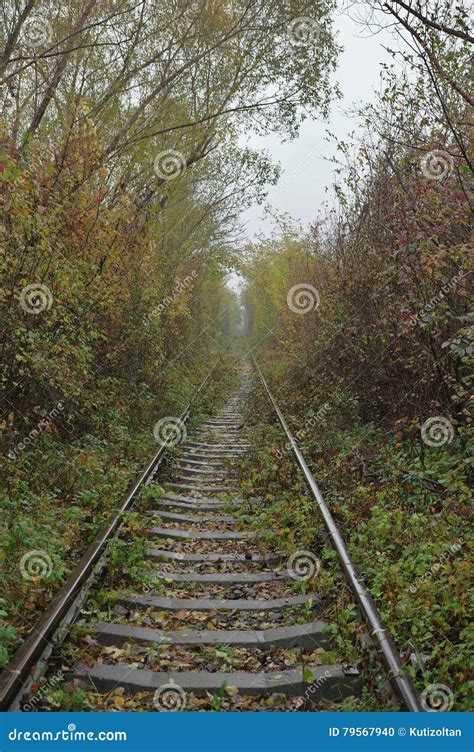 Autumn Railroad 2 Stock Photo Image Of Path Endless 79567940
