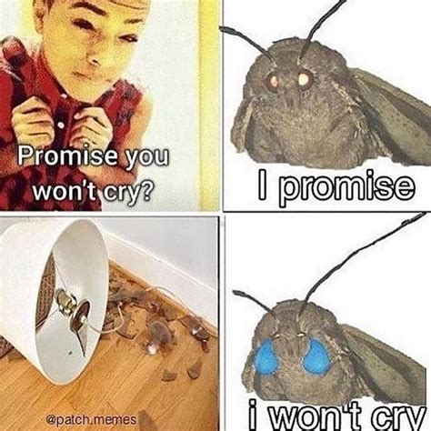 20 More Moth Memes Thatll Light Up Your Life Dankest Memes Funny