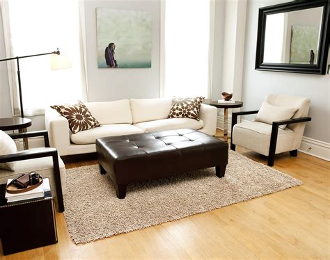 Inexpensive Soft Area Rugs For Living Room 21 Viral