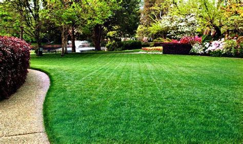 Here are some tips and tricks that will make your neighbors think that grass is indeed greener on your side: A Proven Process to Create a Beautiful Green Lawn In ...