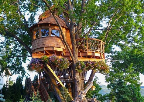 Amazing Treehouses Youll Want To Call Home